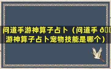 问道手游神算子占卜（问道手 🐯 游神算子占卜宠物技能是哪个）